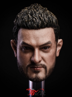 TToys 1/6 Aamir Khan