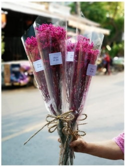 ช่อดอกสุ๋ยย้อมสีชมพู