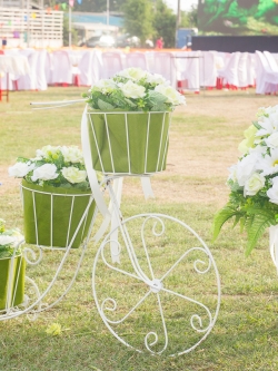 ซุ้มถ่ายรูป ธีมงาน เขียวขาว