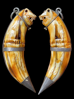 เขี้ยวเสือแกะเต็มเขี้ยว หลวงพ่อปาน วัดบางเหี้ย เขี้ยวเสือแกะหลวงพ่อปาน