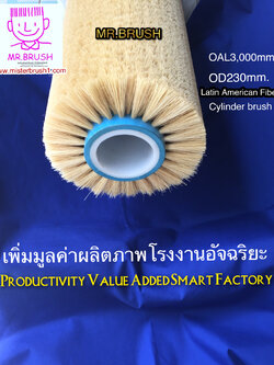 แปรงกระบอกใยพืชเม็กซิกัน