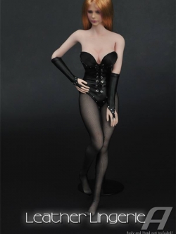 ZY toys ZY16-1 leather bra underwear