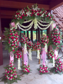 ซุ้มโค้ง กุหลาบสีชมพู