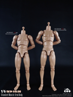 COOMODEL BD007 / BD008 Standard & High Standard Muscle Arm Body