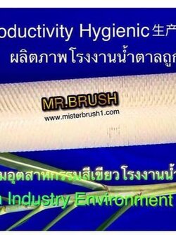 แปรงโรงงานน้ำตาลขนไนลอน