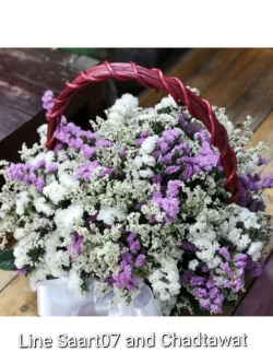 กระเช้าดอกสแตติส