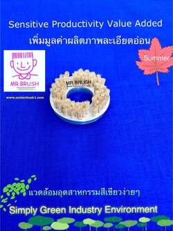 แปรงขนหมูป่าBoar bristle