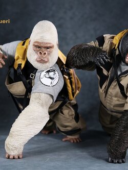 Mr.Z MRZ031-GBG001, 002 Animal Model - Gorilla Beringei Graueri (Black&White)