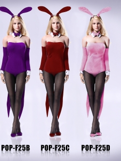 POPTOYS F25A-D Sexy Waitress Bunny Girl suit