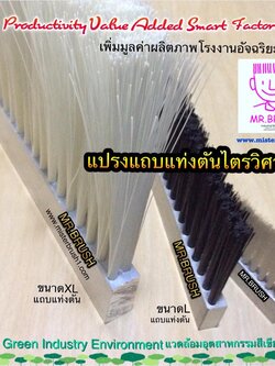 แปรงแถบแท่งตันไตรวิศวะ