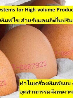 Egg Printer and Coder Systems for High-volume Productivity เครื่องพิมพ์และระบบการพิมพ์ไข่ สำหรับผลผลิตในปริมาณมาก