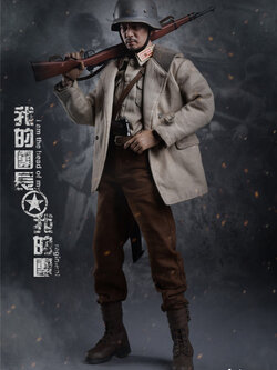 CYYToys DYH-004 1/6 China Expeditionary Force - My Head
