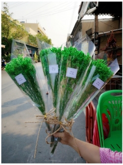 ช่อดอกสุ๋ยย้อมสีเขียว