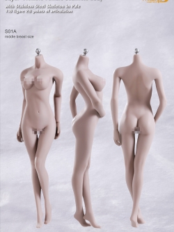 PHICEN S01A ผิวขาวอกกลาง with stainless steel skeleton in pale