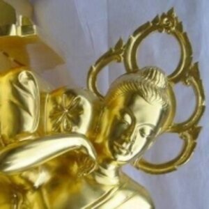 ร้านAntig-Book