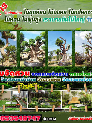 ขายส่งหินจัดสวนโทร 065-3549747 หินแต่งสวน หินจัดสวน หินทำน้ำตก จัดหาหินธรรมชาติ หินกาบ หินมอส หินฟองน้ำ