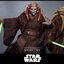 Hot Toys MMS820 Star Wars: Revenge of the Sith - Saesee Tiin