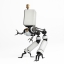 SUPER DUCK C022 1/6 Auxiliary Robot