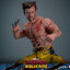 Hot Toys MMS756 Deadpool & Wolverine - Wolverine (Jacket Version)