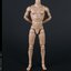 COOMODEL MB001-4 1/6 NEW TYPE MALE BODY