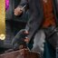 Hot Toys MMS512B FANTASTIC BEASTS: THE CRIMES OF GRINDELWALD - NEWT SCAMANDER (SE)