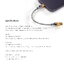 DD MFI07S สายแปลง Lightning เป็น TypeC OTG สำหรับเครื่องเสียง