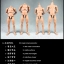 COOMODEL BD001, BD002 Narrow shoulders male Body 2.0