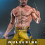 Hot Toys MMS756 Deadpool & Wolverine - Wolverine (Jacket Version)