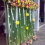 ซุ้มถ่ายรูป
