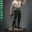 Hot Toys TMS110 1/6 One Piece - Roronoa Zoro