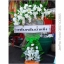 พวงหรีดพัดลม Hatari 18 นิ้ว ประดับดอกไม้แห้ง