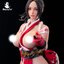 Ninja Cat N001 Female Fighter Mai