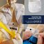 ASMUS TOYS YUYU004LUX Yu Yu Hakusho - Kazuma Kuwabara (LUXURY EDITION)