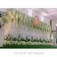 Backdrop ถ่ายภาพงานแต่ง
