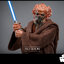 Hot Toys MMS785 Star Wars: Episode III Revenge of the Sith - Plo Koon