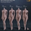 PHICEN S12D Body Stainless (Large bust, Suntan) เท้าถอดเปลี่ยนได้