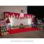 Backdrop ถ่ายภาพงานแต่ง