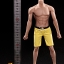 Phicen PL2016-M32 Super flexible Asia Male Seamless Body