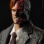 NERVE TOYS NT-001 Two-Face