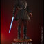 01/11/2568 Hot Toys MMS839 Star Wars: Revenge of the Sith - Anakin Skywalker