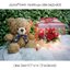 กล่องดอกไม้ (Flower Box)