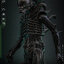Hot Toys MMS826 Alien - Big Chap