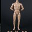 COOMODEL MB001-4 1/6 NEW TYPE MALE BODY