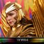 Hot Toys MMS577 Wonder Woman 1984 1/6 Golden Armor Wonder Woman