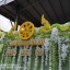 ฉากถ่ายรูปงานบวช ธีมงานขาวเขียว
