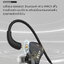 BGVP Butterfly หูฟัง IEMs 2 ไดรเวอร์ 2DD หูฟัง HiFi สำหรับเล่นเกม ประกันศูนย์ไทย