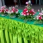 ซุ้มดอกไม้สดถ่ายรูป