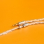 ขาย DUNU SA3 หูฟัง 3 ไดรเวอร์ (3BA) รองรับ Hi-Res