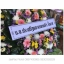 พวงหรีดดอกไม้สด ขนาด L (Wreath)