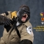 Mr.Z MRZ031-GBG001, 002 Animal Model - Gorilla Beringei Graueri (Black&White)